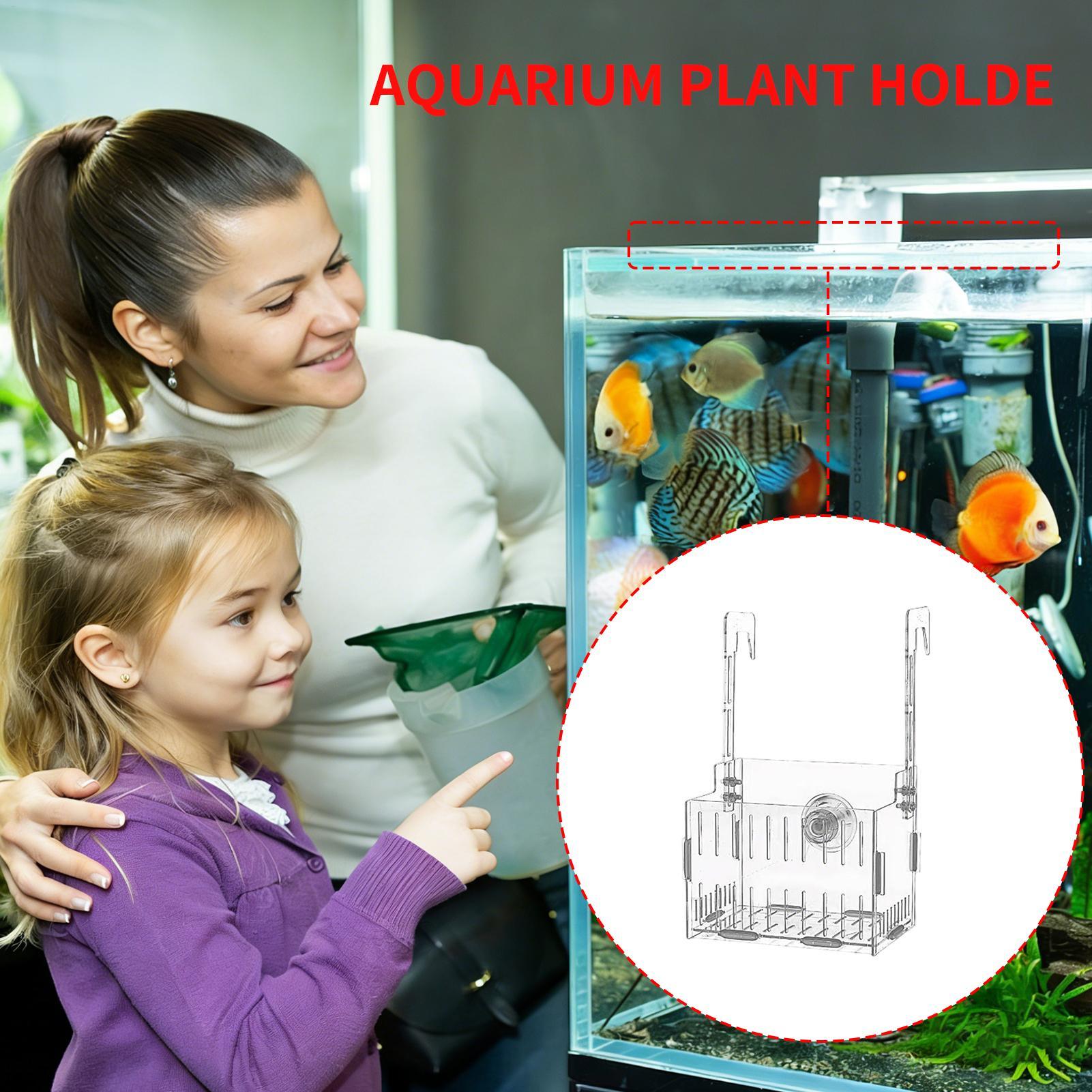 حامل نباتات الأكريليك للأحواض  - مراجعة Aquarium Plant Vine وسعره