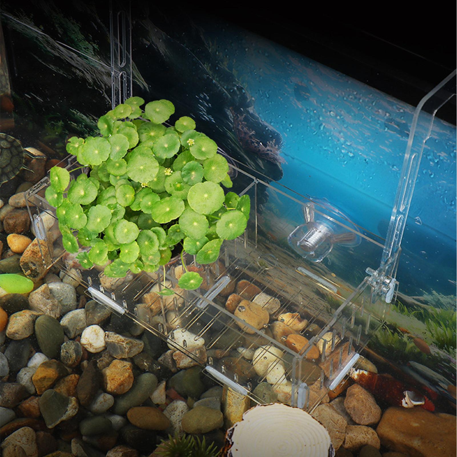 حامل نباتات الأكريليك للأحواض  - مراجعة Aquarium Plant Vine وسعره