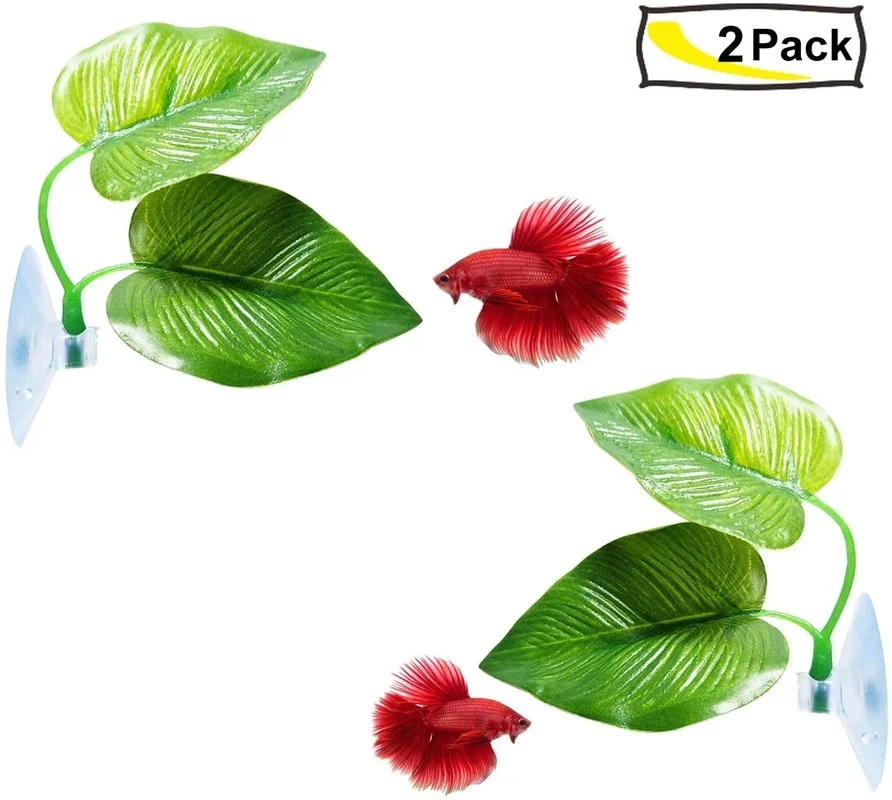 أرجوحة أوراق السمك بيتا محاكاة - مراجعة Planted Aquarium Betta وسعره