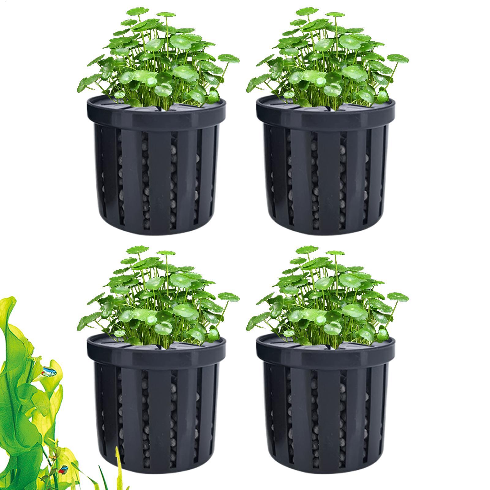 4 قطع من أواني الزراعة المائية - مراجعة Aquarium Plant Rings وسعره