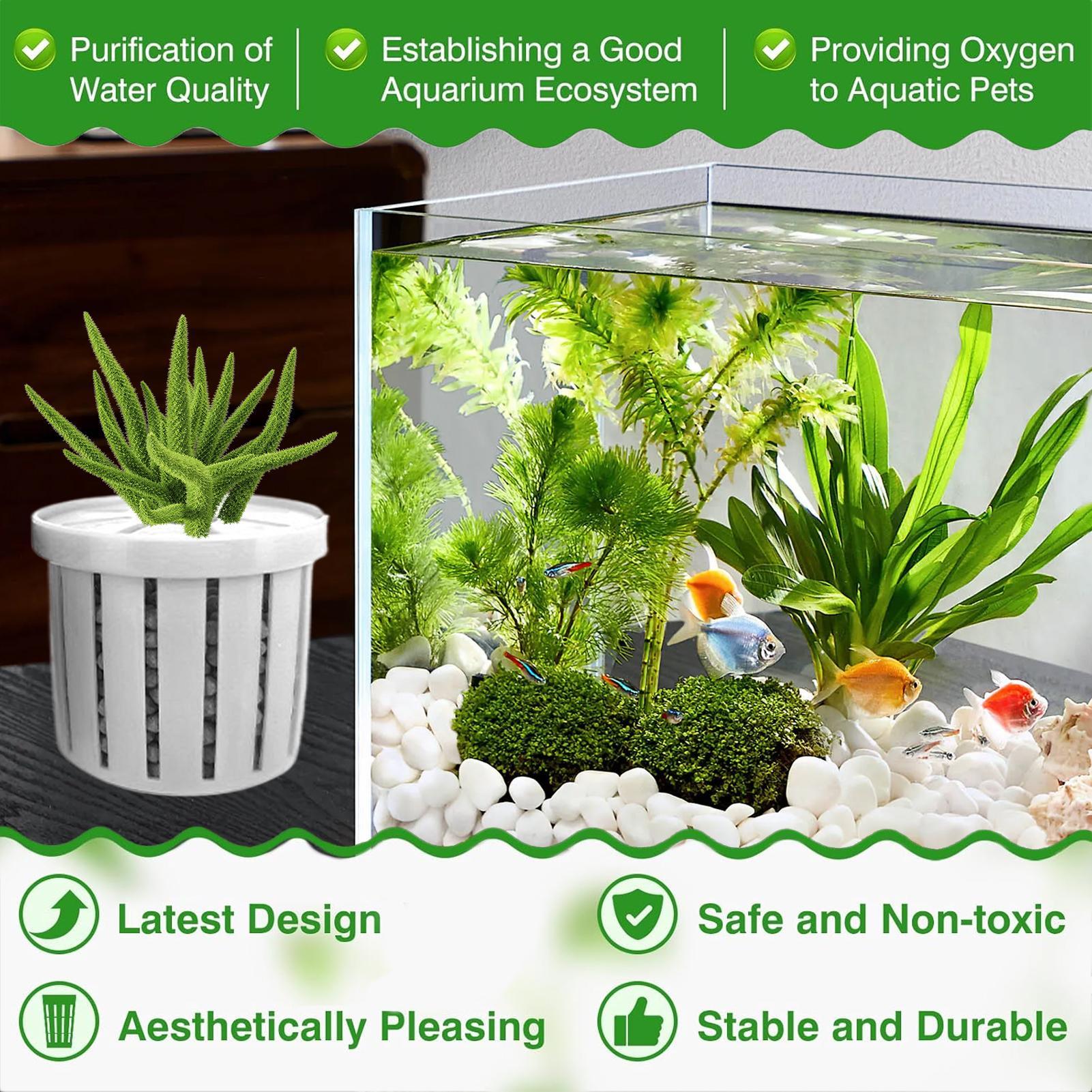 4 قطع من أواني الزراعة المائية - مراجعة Aquarium Plant Rings وسعره