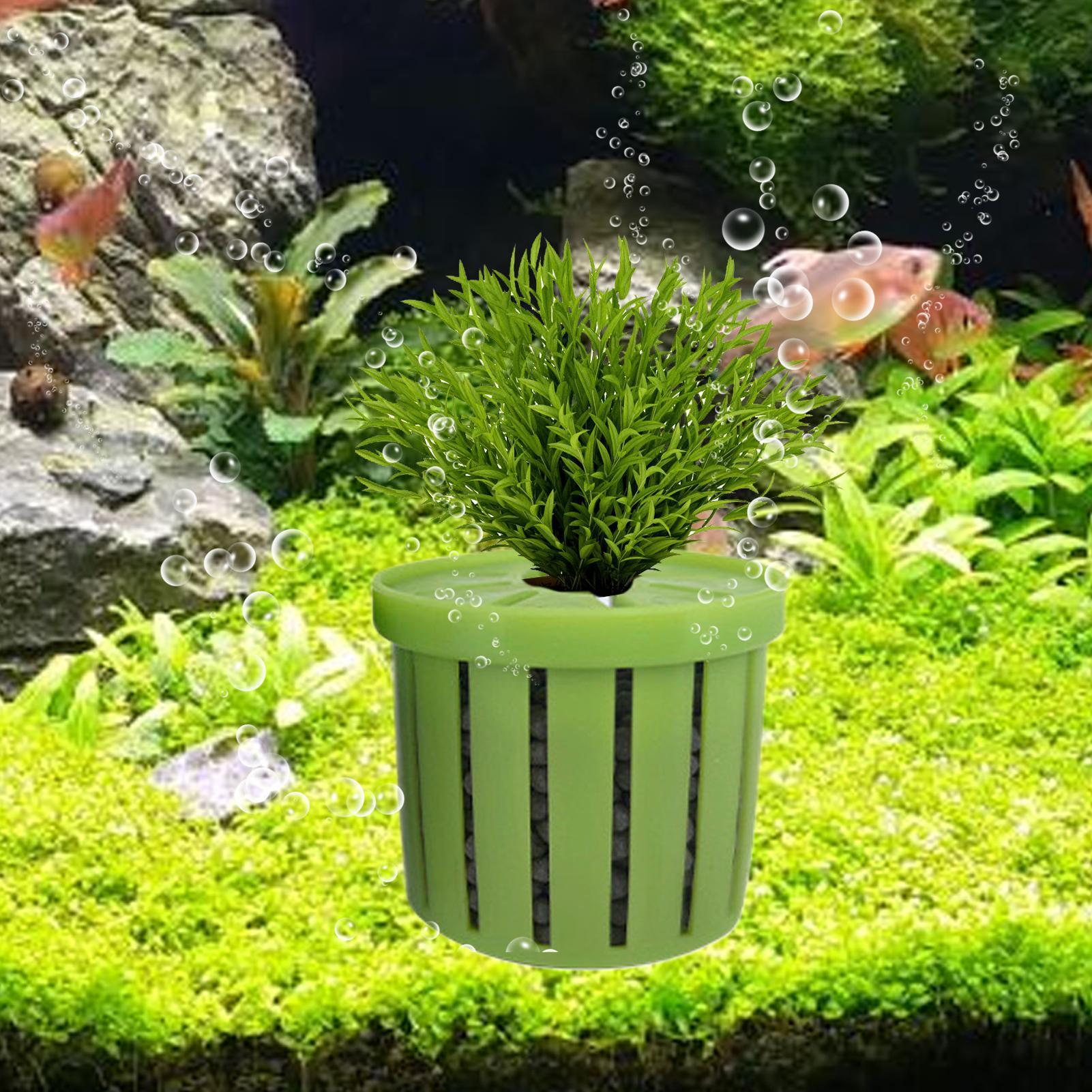 4 قطع من أواني الزراعة المائية - مراجعة Aquarium Plant Rings وسعره