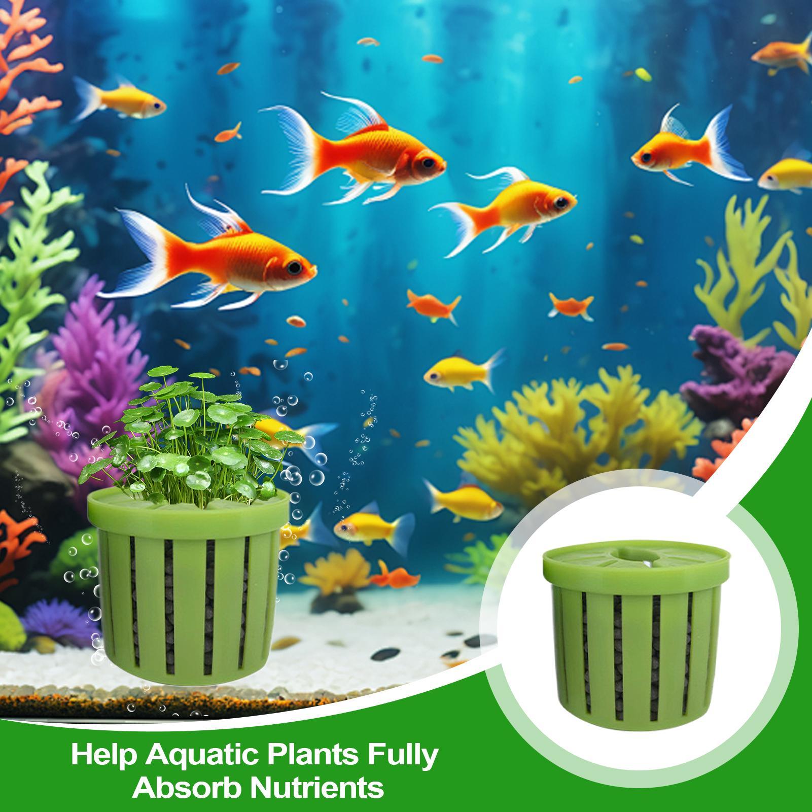 4 قطع من أواني الزراعة المائية - مراجعة Aquarium Plant Rings وسعره