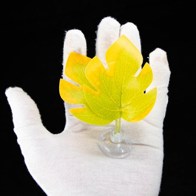 سرير أرجوحة من أوراق السمك لتز - مراجعة Planted Aquarium Betta وسعره