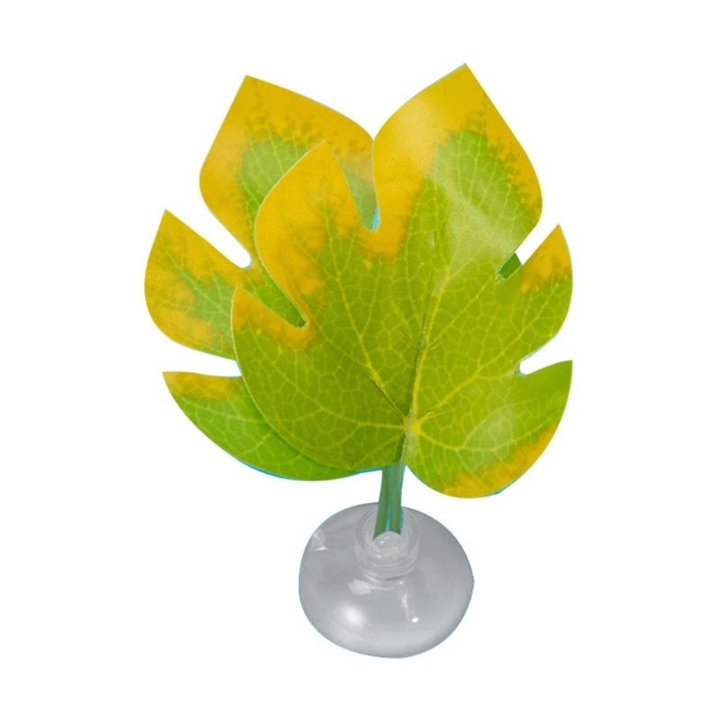 سرير أرجوحة من أوراق السمك لتز - مراجعة Planted Aquarium Betta وسعره