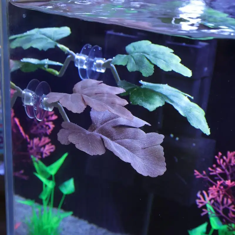 بيتا أرجوحة أوراق السمك حوض ال - مراجعة Aquarium Plant Rings وسعره