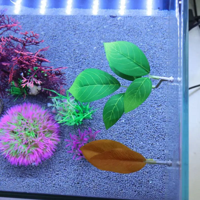 بيتا أرجوحة أوراق السمك حوض ال - مراجعة Aquarium Plant Rings وسعره
