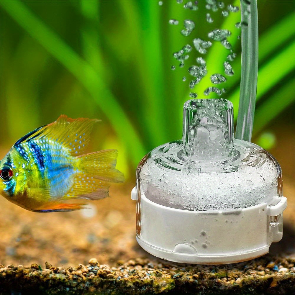 فلتر حوض سمك صغير رفيع للغاية، - مراجعة Aquarium Planted Filter وسعره