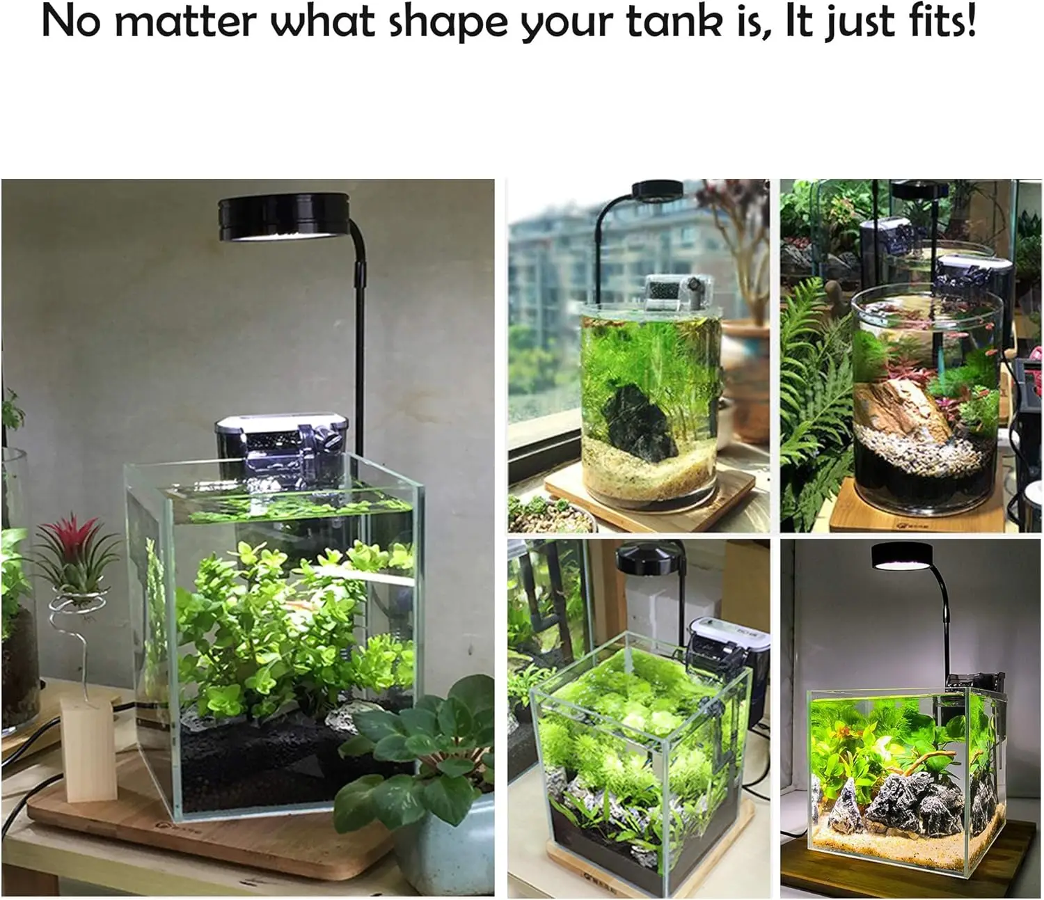 ضوء LED لحوض السمك مع لوح من ا - مراجعة Planted Aquarium Betta وسعره