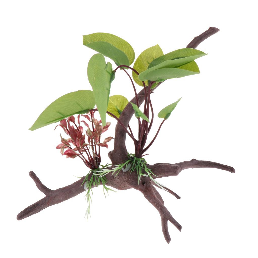 نبات تررم الزواحف لوازم ديكور  - مراجعة Aquarium Plant Vine وسعره