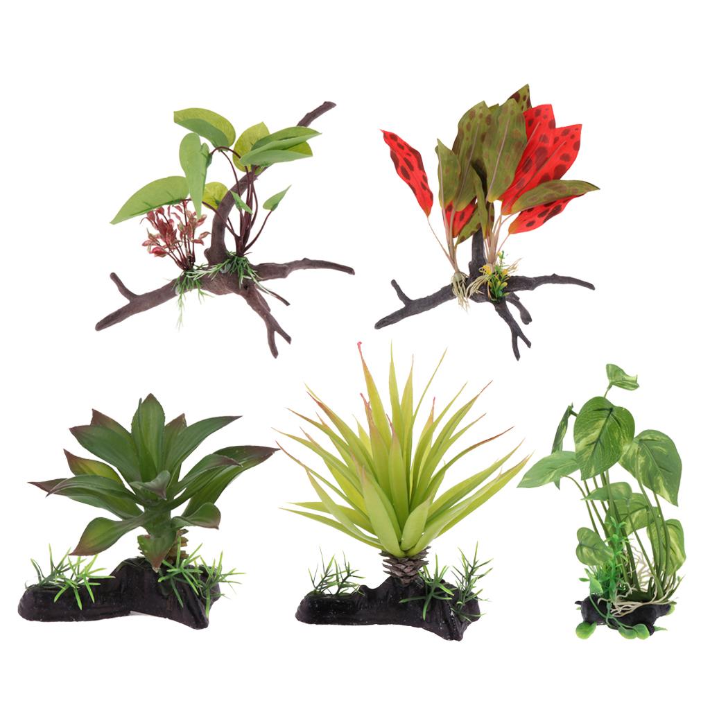نبات تررم الزواحف لوازم ديكور  - مراجعة Aquarium Plant Vine وسعره