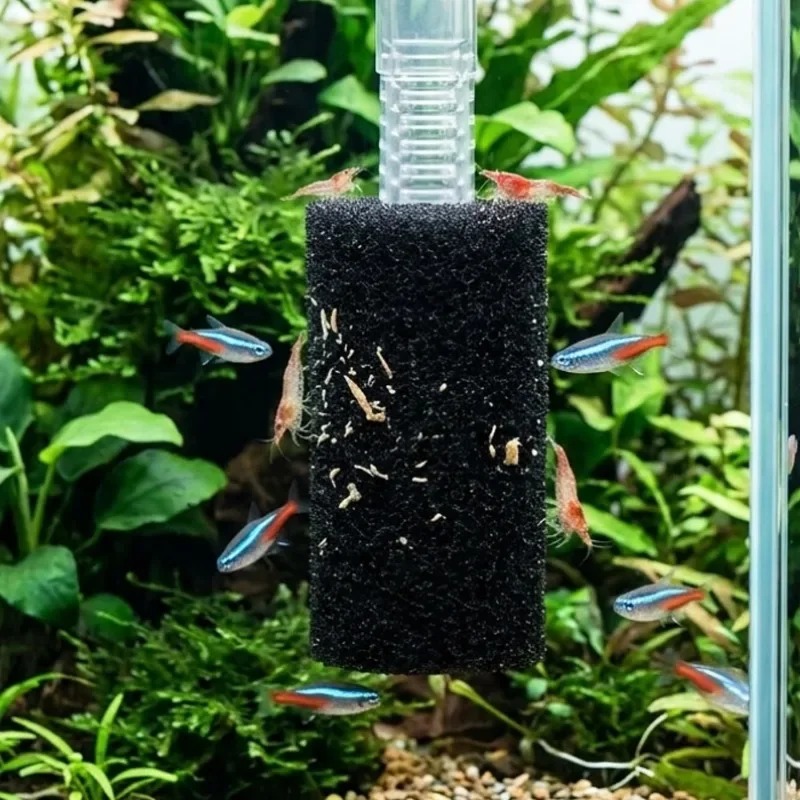 إسفنجة فلتر أولي 50/5x لحوض ال - مراجعة Aquarium Planted Filter وسعره