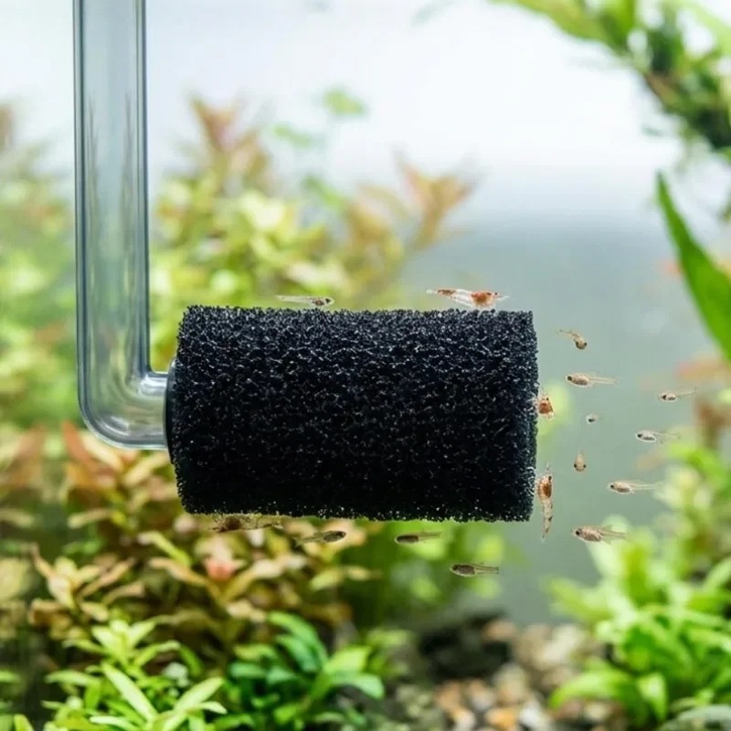 إسفنجة فلتر أولي 50/5x لحوض ال - مراجعة Aquarium Planted Filter وسعره