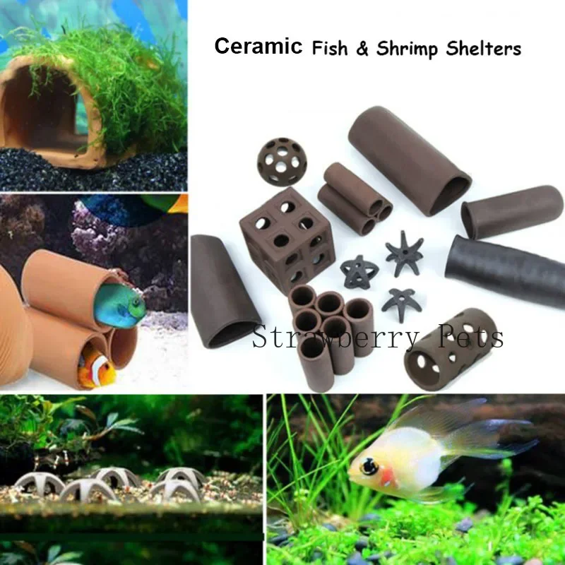 السيراميك حوض السمك الديكور ال - مراجعة Aquarium Plant Rings وسعره