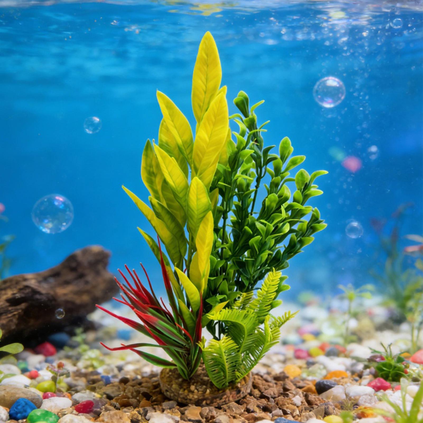 نباتات اصطناعية لتزيين أحواض ا - مراجعة Planted Aquarium Betta وسعره