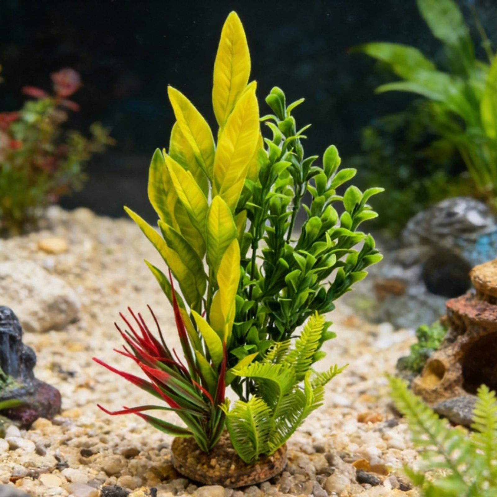 نباتات اصطناعية لتزيين أحواض ا - مراجعة Planted Aquarium Betta وسعره