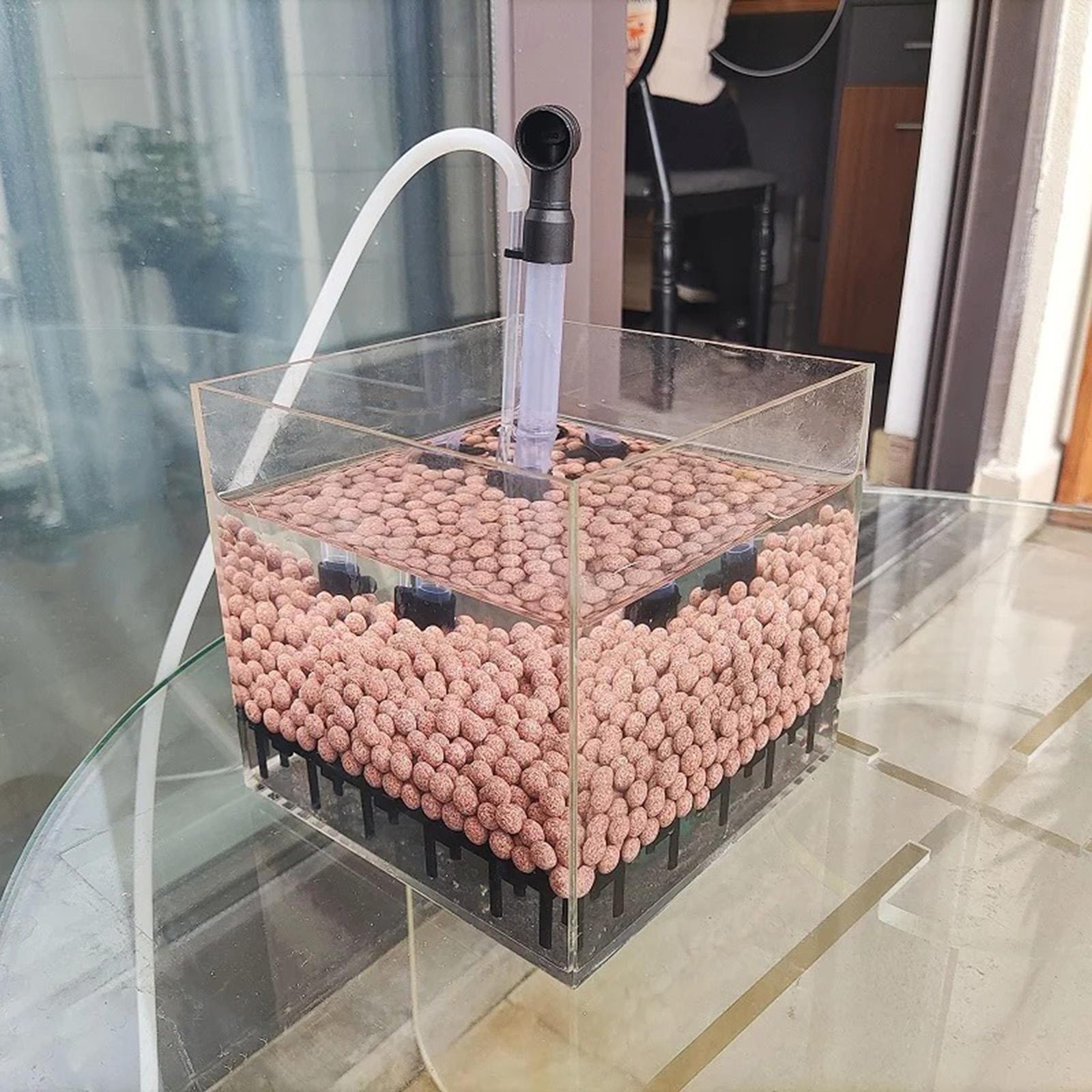 صندوق فلتر حوض السمك مربع الشك - مراجعة Planted Aquarium Undergravel Filter وسعره