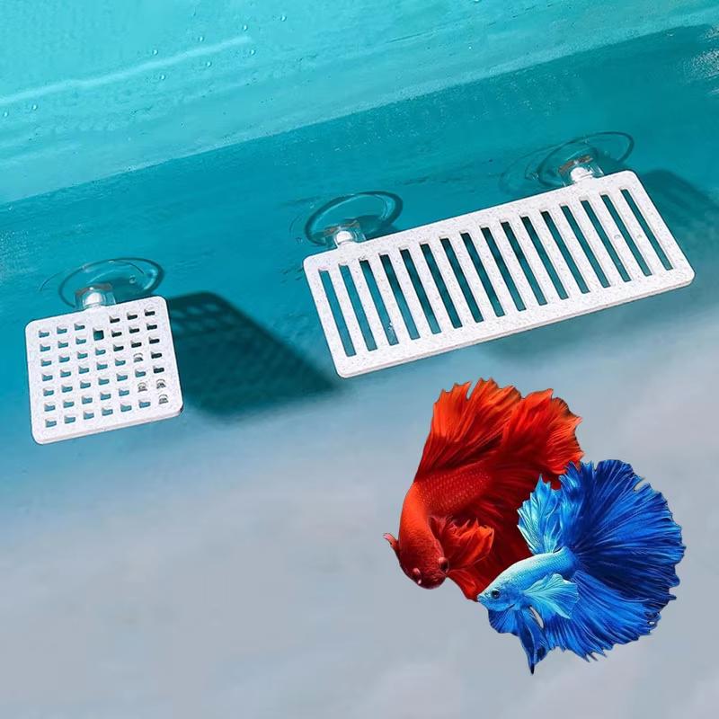 حوض سمك بلاستيكي، شبكة صناعية، - مراجعة Planted Aquarium Betta وسعره