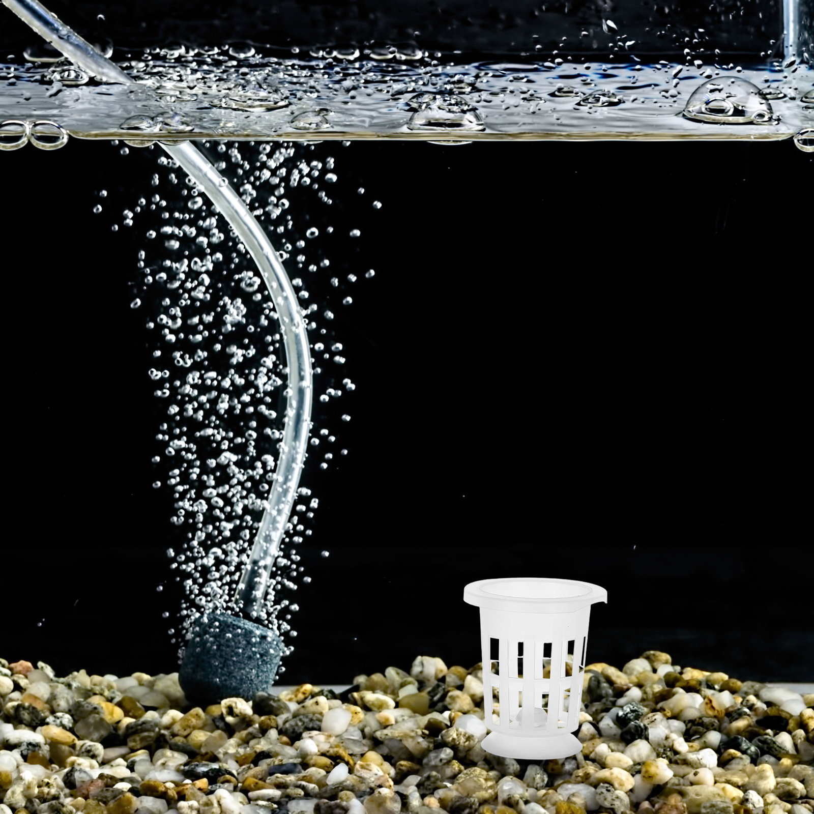مجموعة واحدة من أوعية الزراعة  - مراجعة Aquarium For Planted Tank وسعره