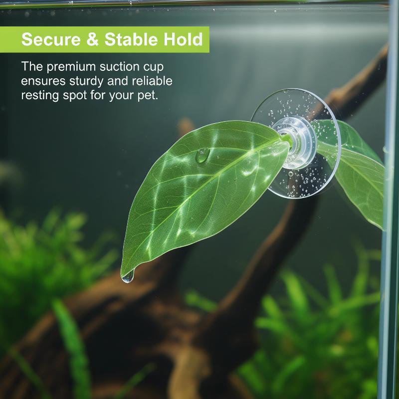 إكسسوارات أحواض السمك: أوراق ص - مراجعة Planted Aquarium Betta وسعره