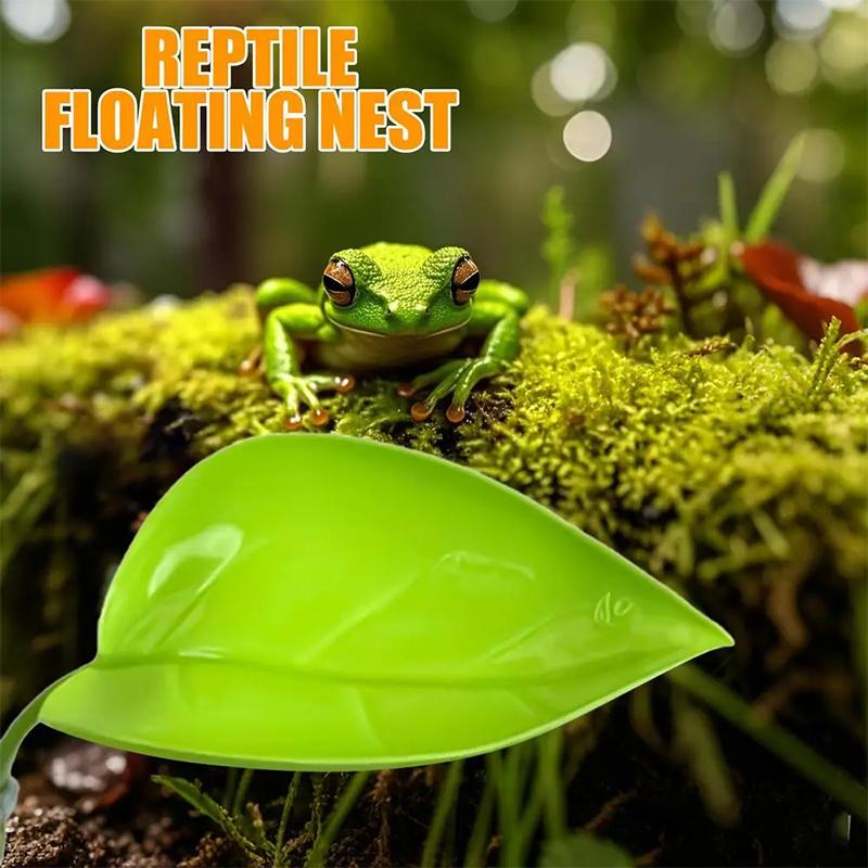 إكسسوارات أحواض السمك: أوراق ص - مراجعة Planted Aquarium Betta وسعره