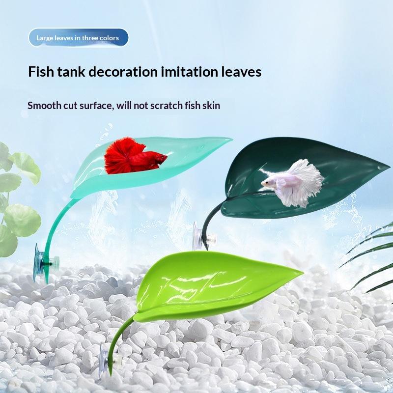 إكسسوارات أحواض السمك: أوراق ص - مراجعة Planted Aquarium Betta وسعره