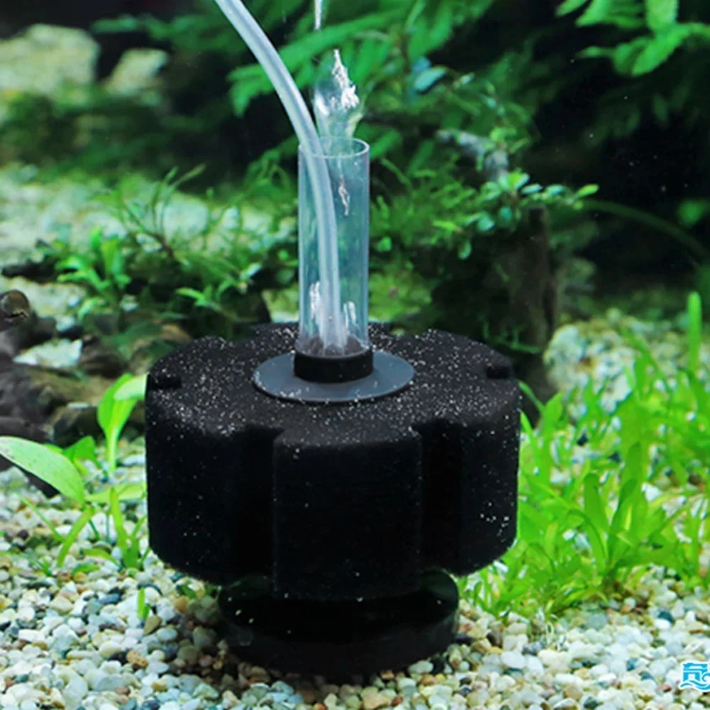 إسفنجة فلتر حوض السمك لمضخة هو - مراجعة Aquarium Planted Filter وسعره