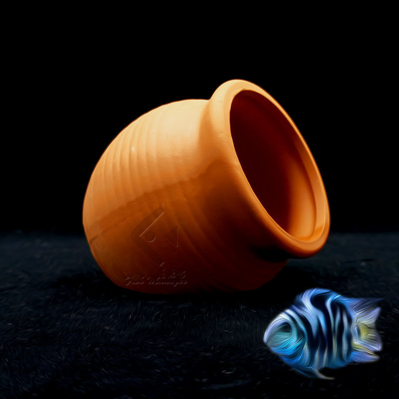 حوض السمك إصّيص سيراميك صغير ح - مراجعة Aquarium Plant Rings وسعره