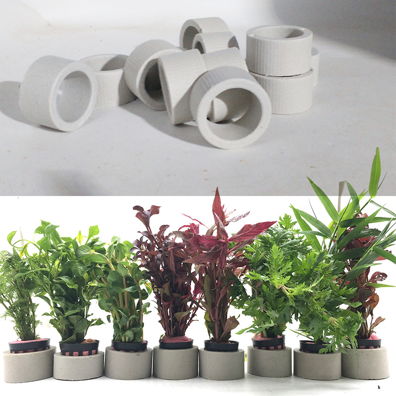 حلقة سيراميك لتزيين الحوض ، وع - مراجعة Aquarium Plant Rings وسعره