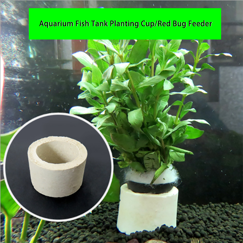حلقة سيراميك لتزيين الحوض ، وع - مراجعة Aquarium Plant Rings وسعره