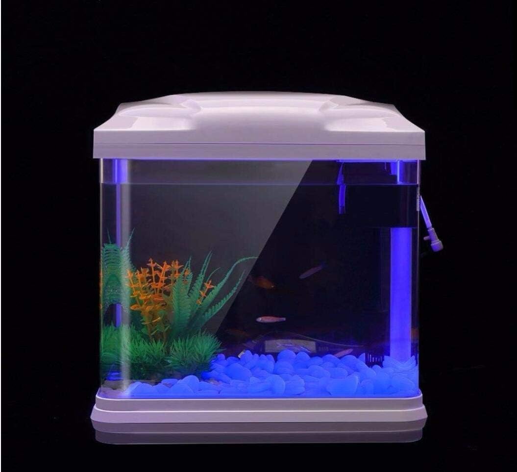 حوض السمك الصخور توهج الحصى ال - مراجعة Aquarium Plants وسعره