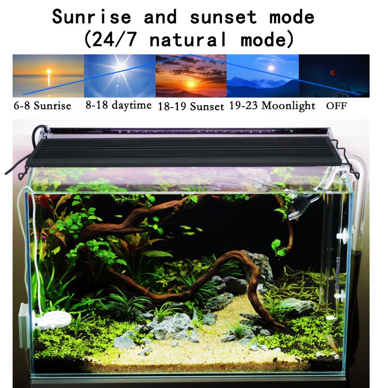 إضاءة LED لأحواض السمك بطيف كا - مراجعة Aquarium Plant Light Spectrum وسعره
