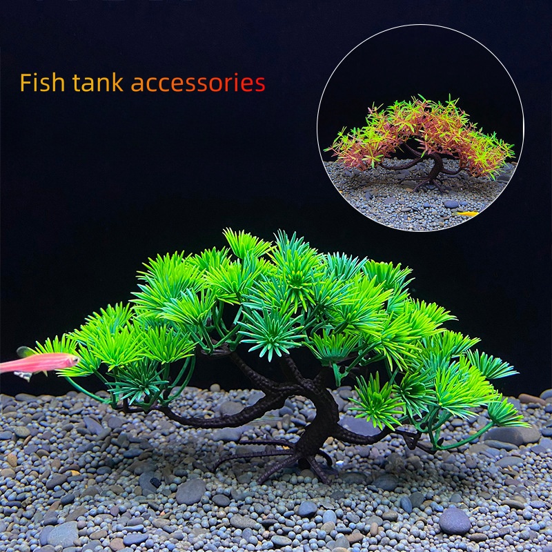 شجرة بونساي لحوض السمك ، ديكور - مراجعة Aquarium Planted Seeds وسعره