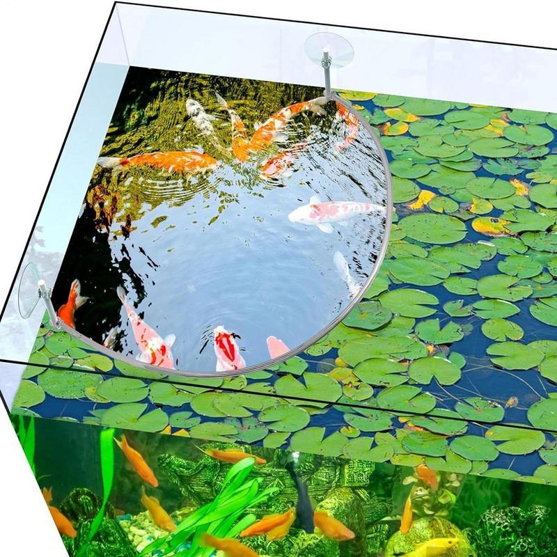 حلقة تغذية الأسماك المرجانية ل - مراجعة Aquarium Plant Rings وسعره