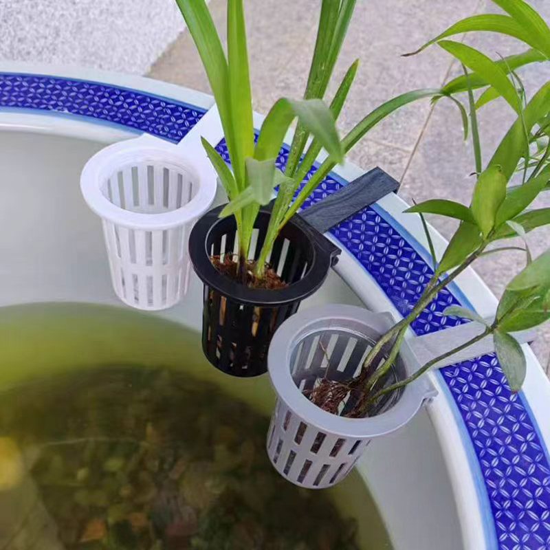 1/3 قطعة سلة نباتات حوض السمك  - مراجعة Aquarium Plant Rings وسعره