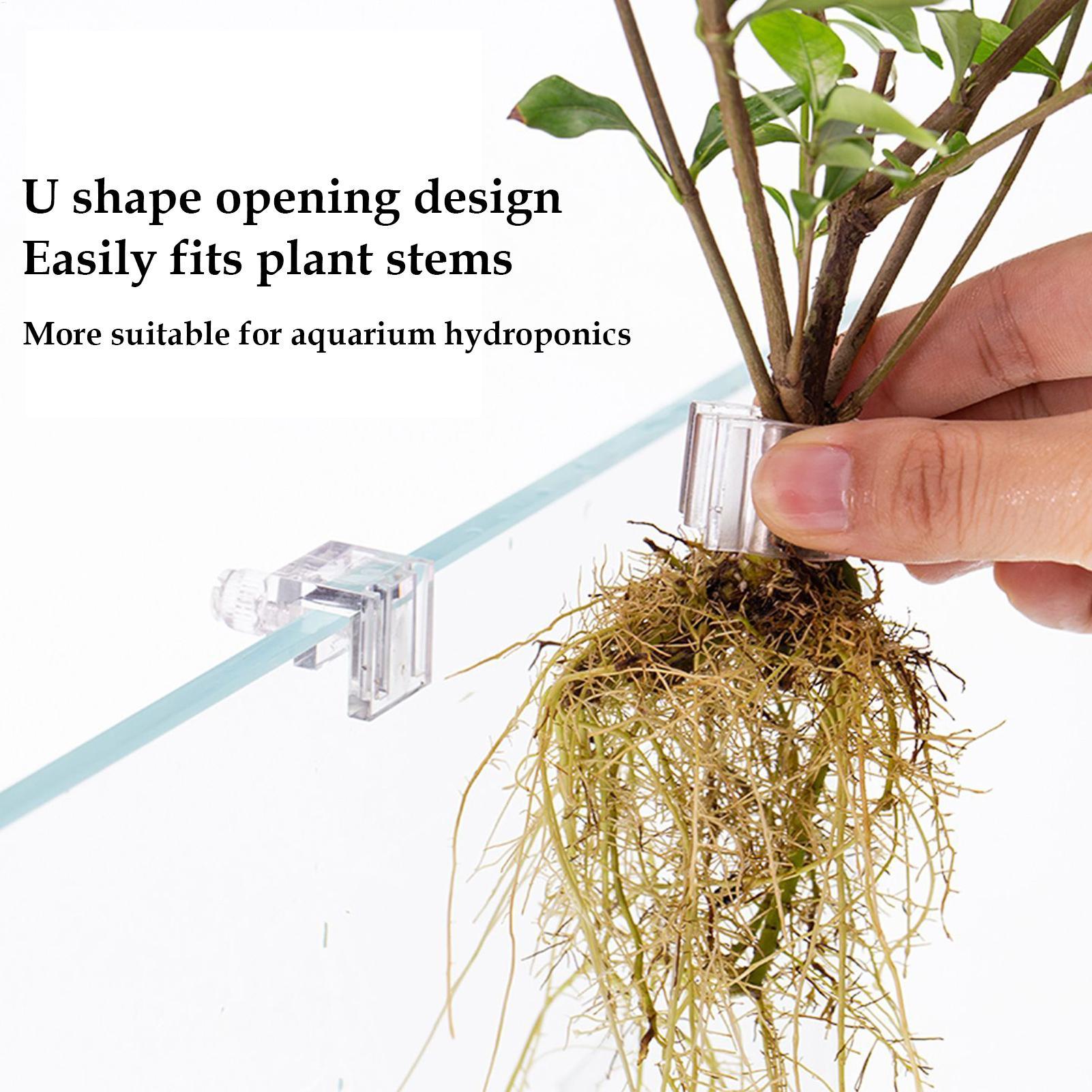 سلة نباتات للأحواض المائية، وع - مراجعة Aquarium Plant Rings وسعره