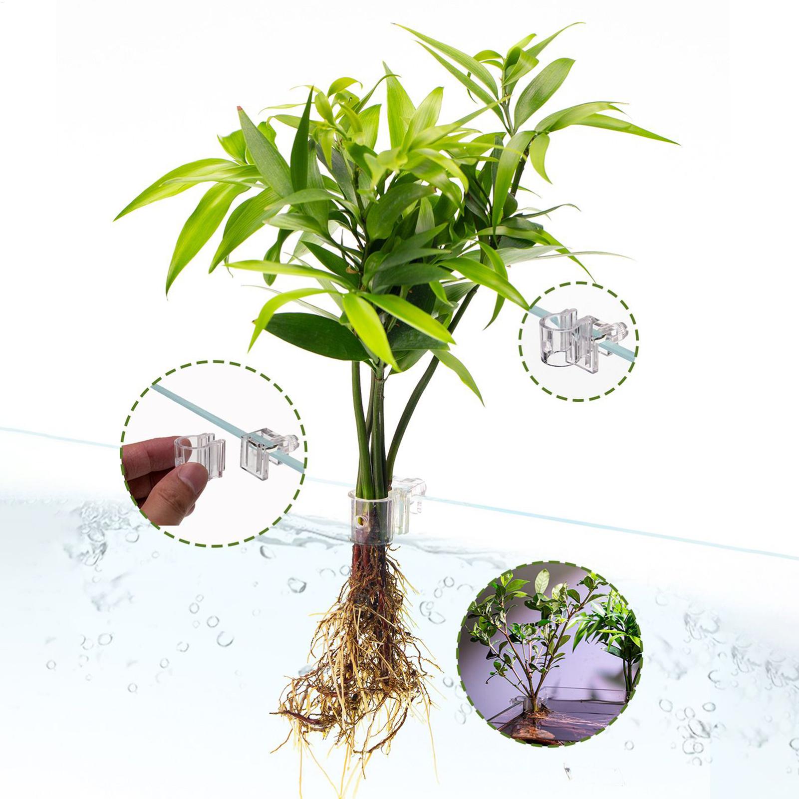 سلة نباتات للأحواض المائية، وع - مراجعة Aquarium Plant Rings وسعره