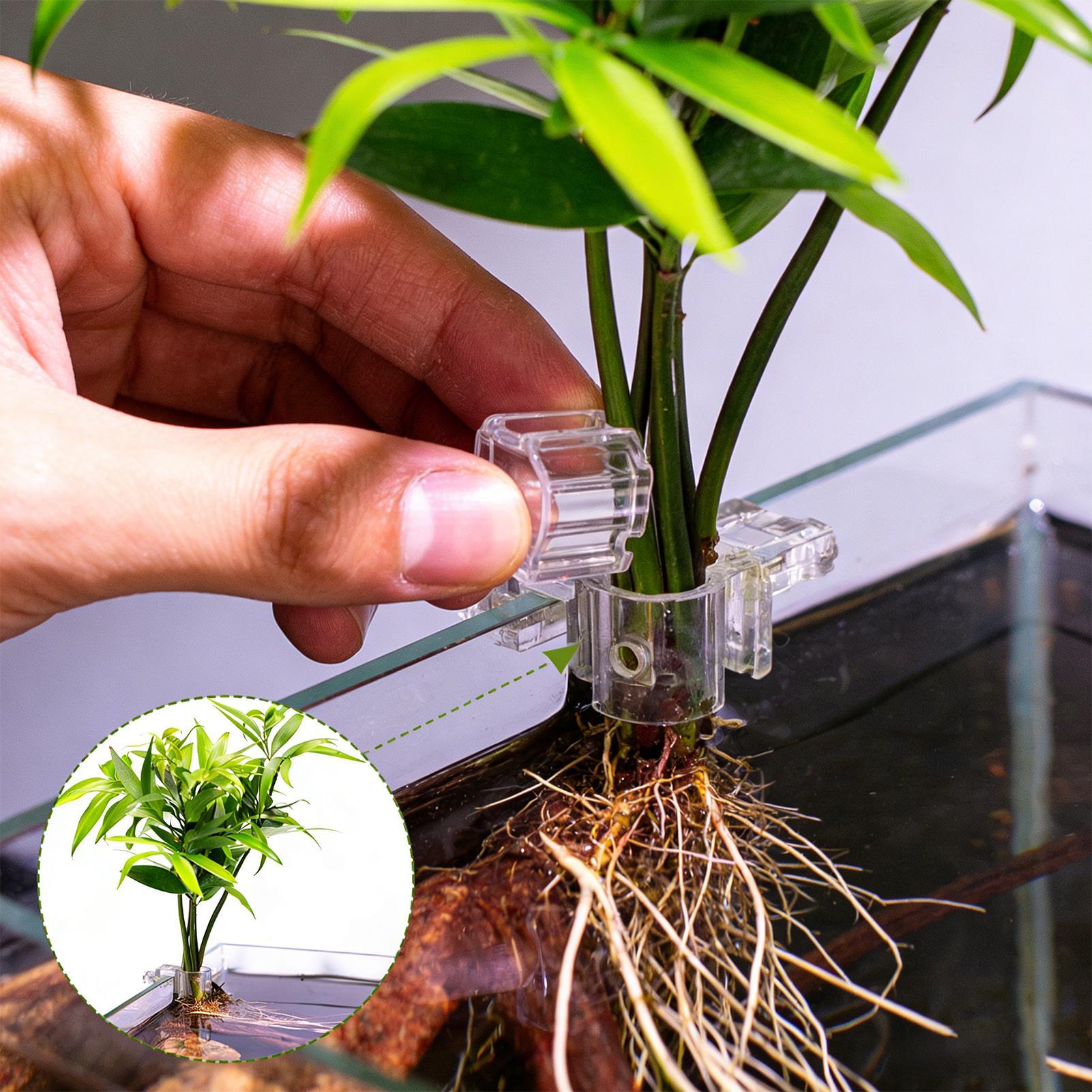 سلة نباتات للأحواض المائية، وع - مراجعة Aquarium Plant Rings وسعره