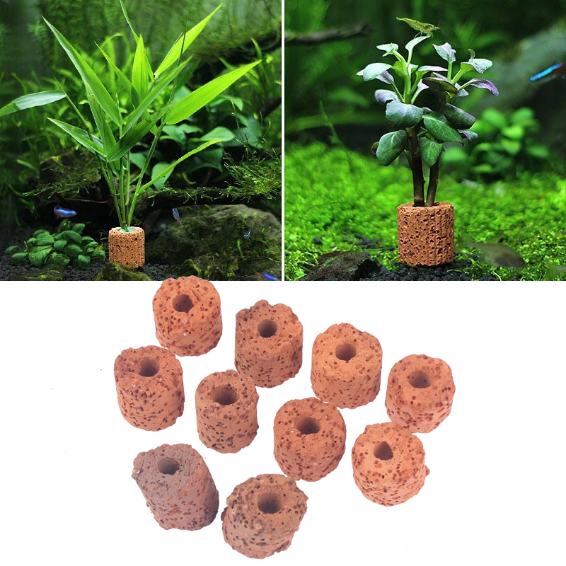 10 قطع حلقات سيراميك ثقيلة الو - مراجعة Aquarium Plant Rings وسعره