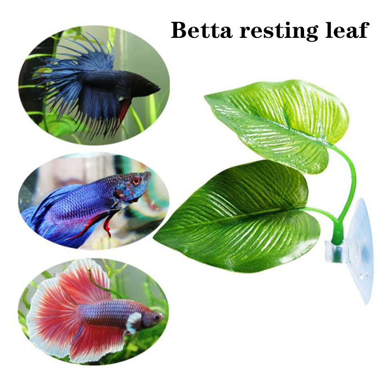 نباتات أوراق صناعية للزينة في  - مراجعة Planted Aquarium Betta وسعره