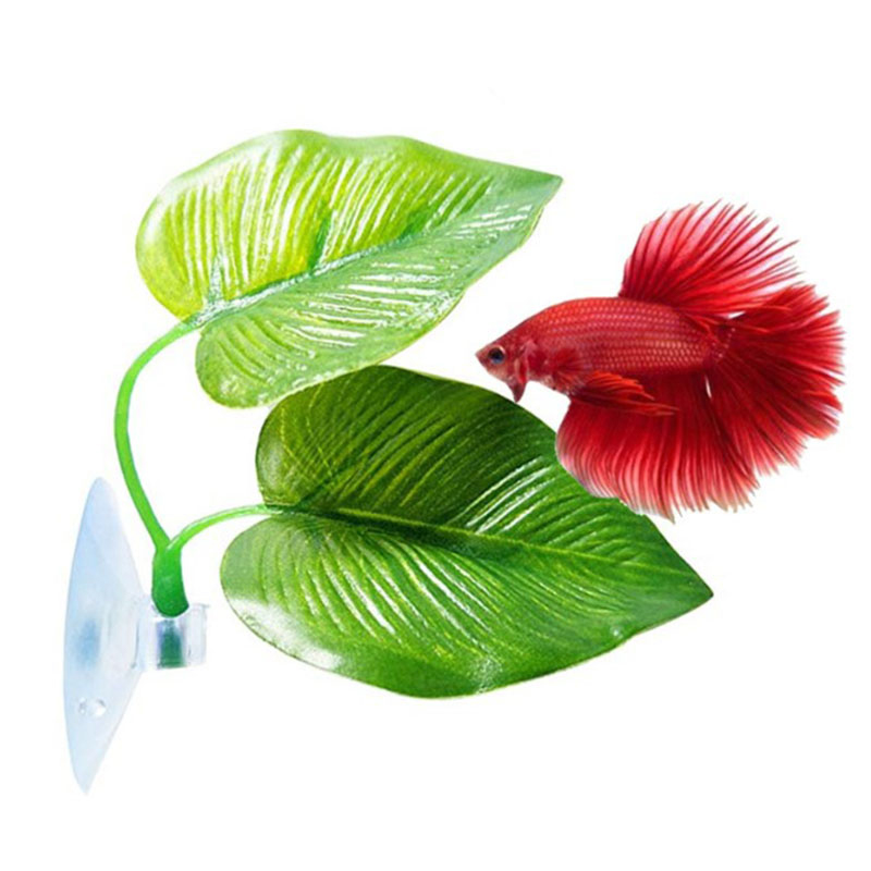 نباتات أوراق صناعية للزينة في  - مراجعة Planted Aquarium Betta وسعره
