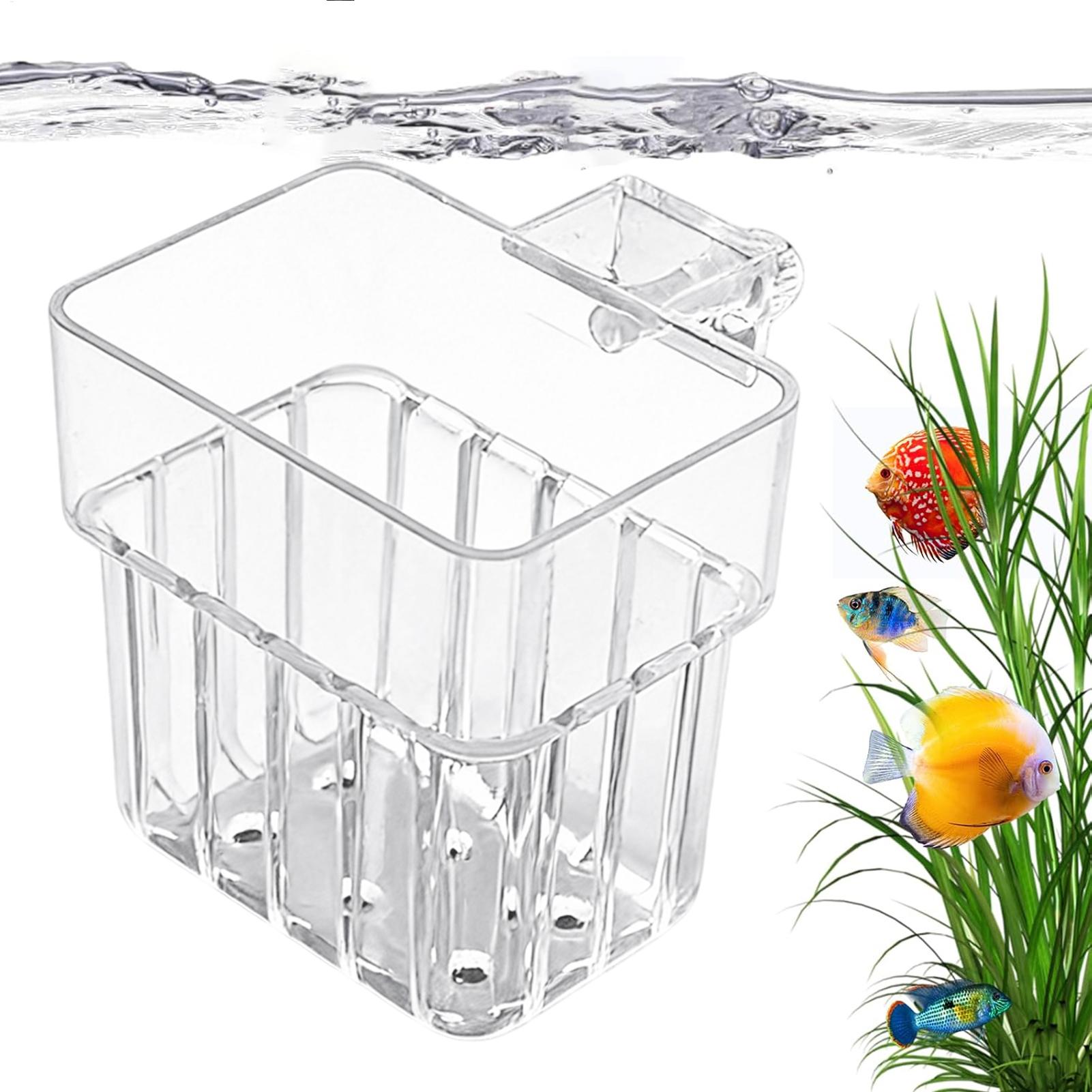 حامل شفاف قابل للتعليق لأحواض  - مراجعة Aquarium Plant Rings وسعره