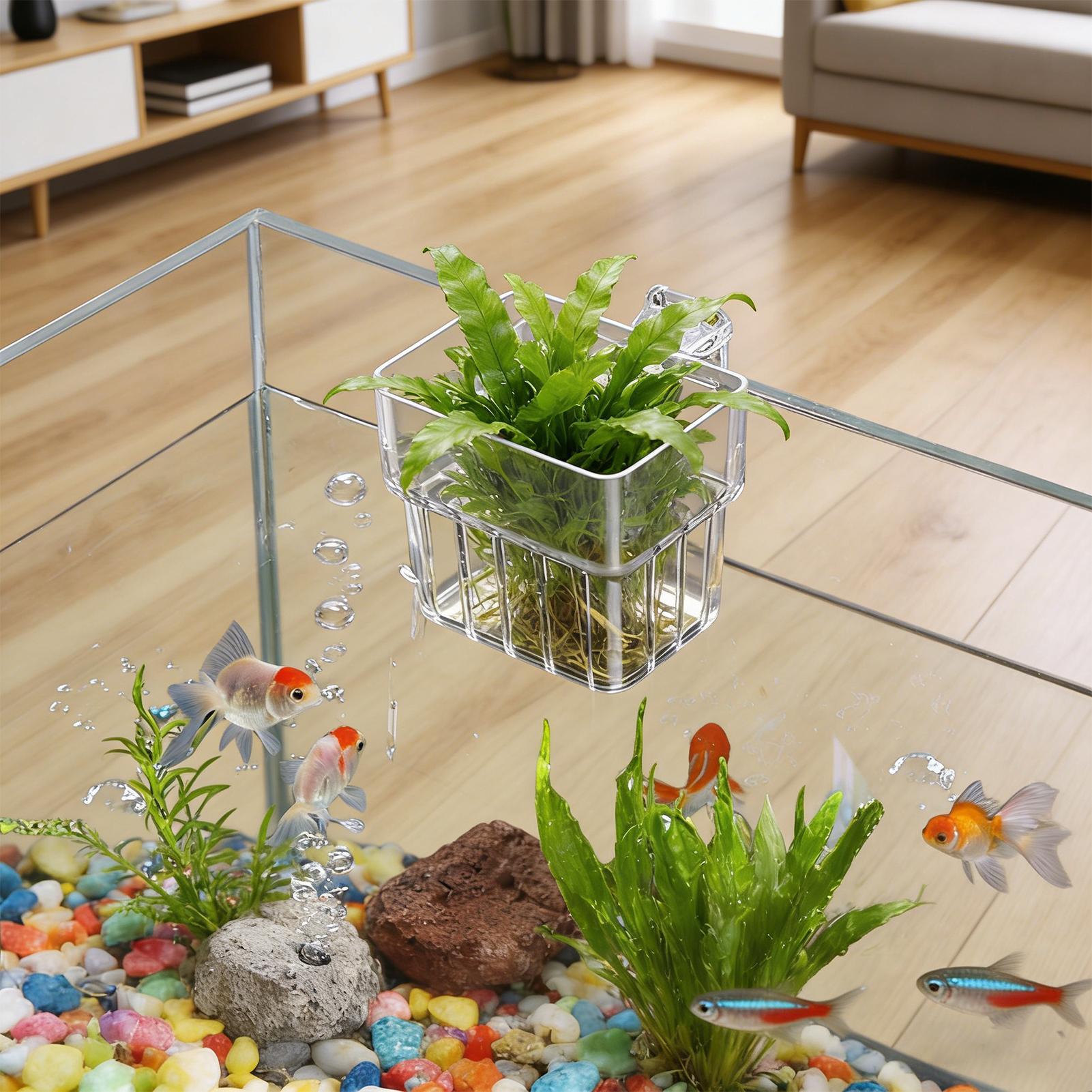 حامل شفاف قابل للتعليق لأحواض  - مراجعة Aquarium Plant Rings وسعره
