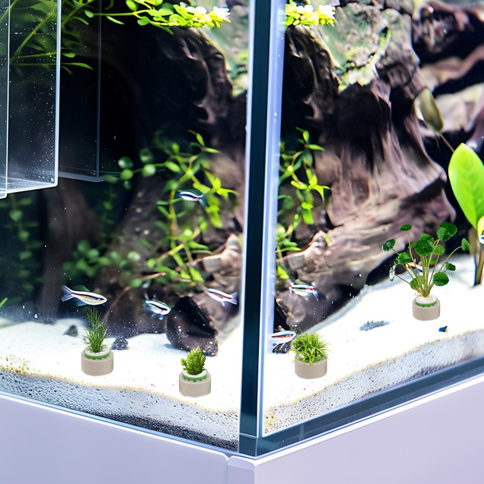 9 قطع من حلقات تثبيت النباتات  - مراجعة Aquarium Plant Rings وسعره