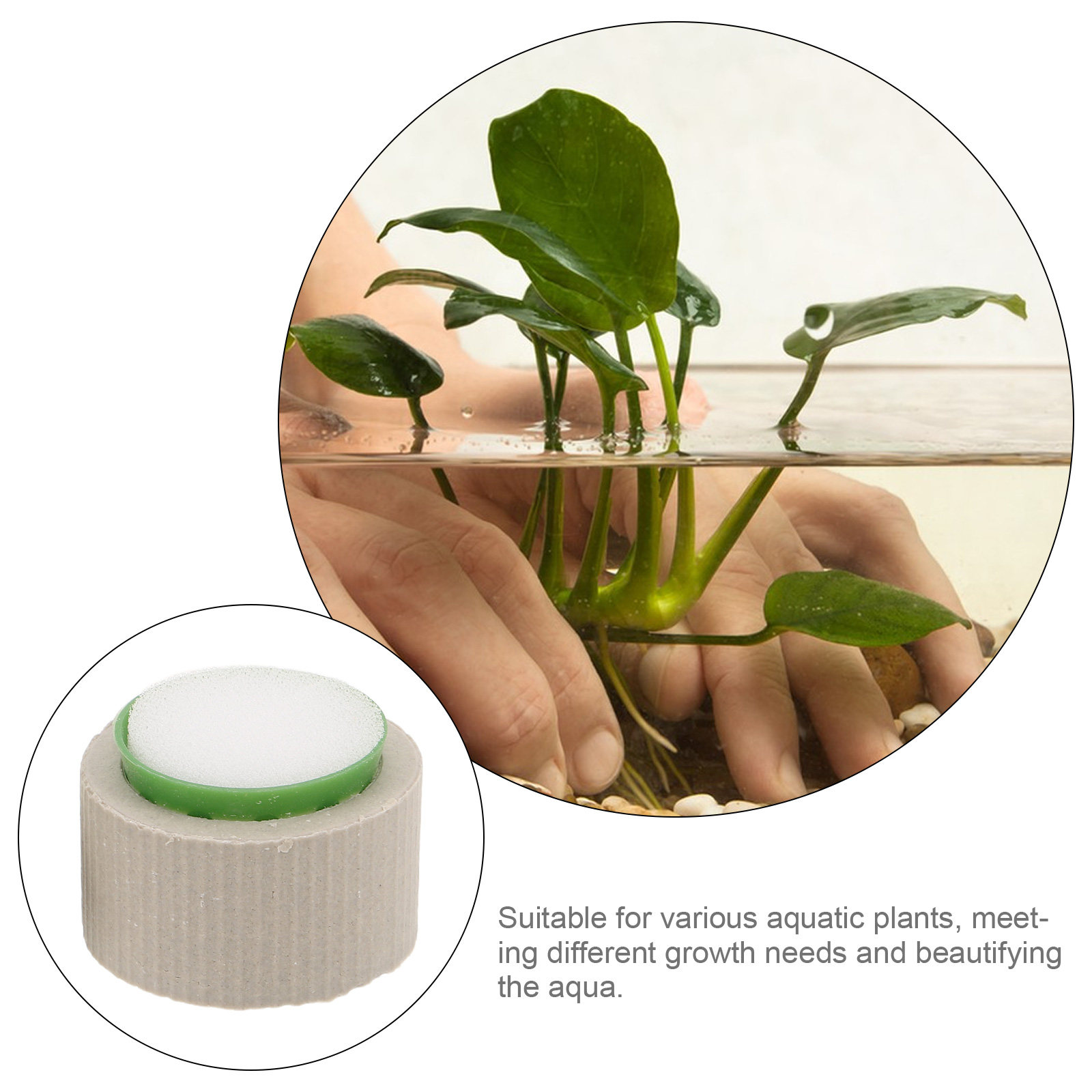 9 قطع من حلقات تثبيت النباتات  - مراجعة Aquarium Plant Rings وسعره