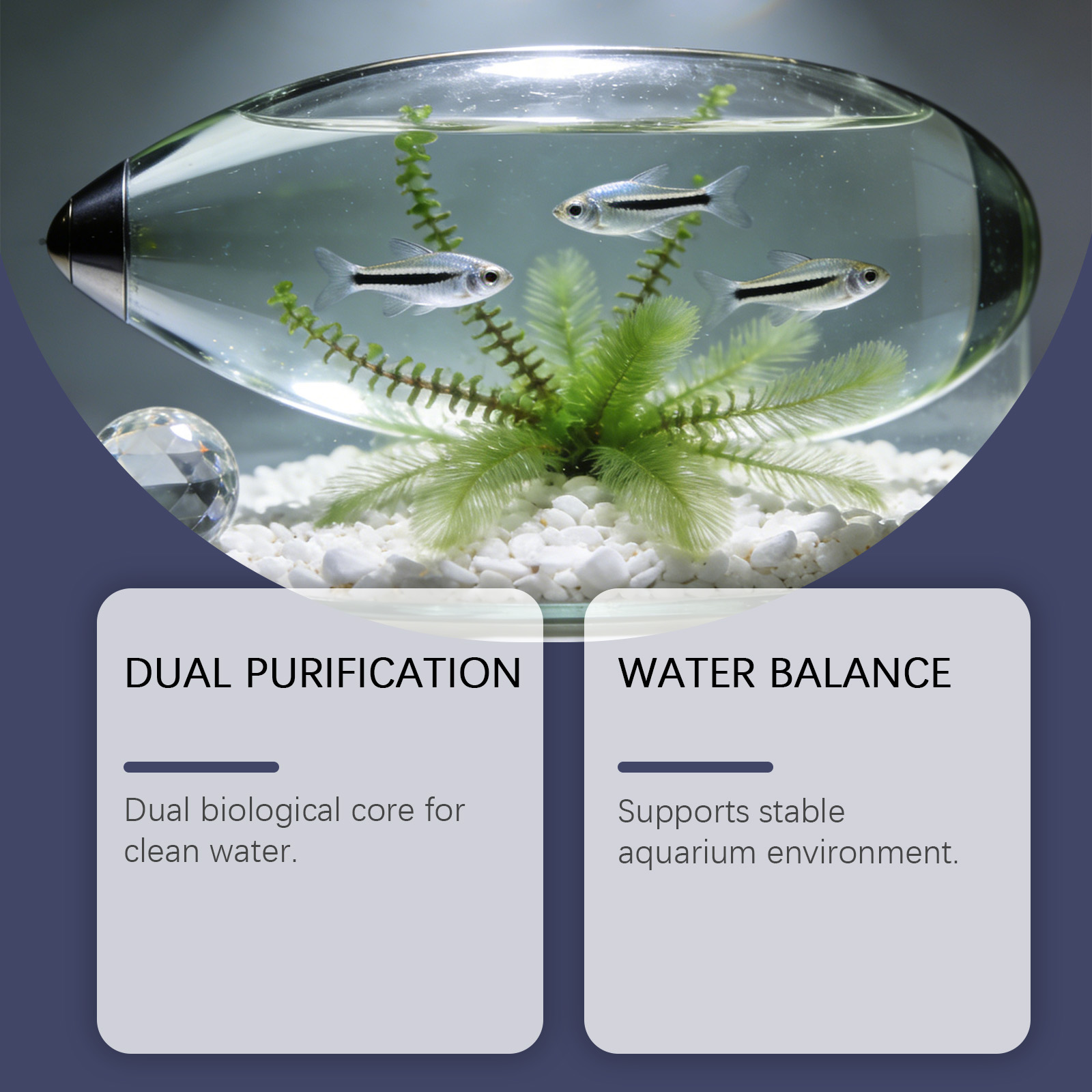 أقراص إزالة الطحالب لأحواض الس - مراجعة Planted Aquarium Cloudy Water وسعره