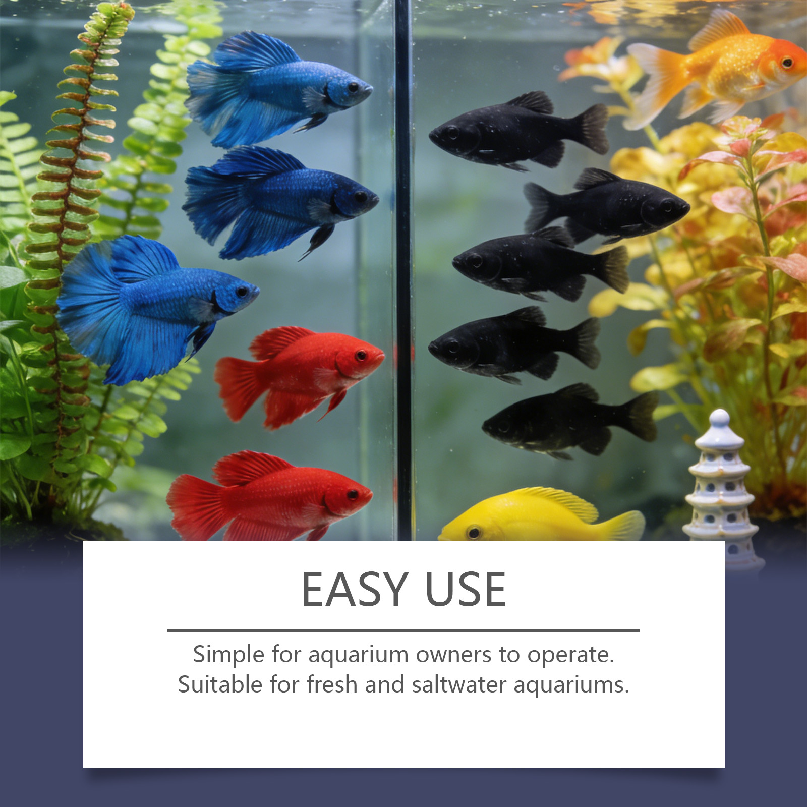 أقراص إزالة الطحالب لأحواض الس - مراجعة Planted Aquarium Cloudy Water وسعره
