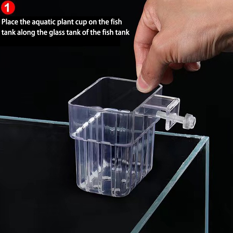 حوض السمك متعدد الوظائف ، كوب  - مراجعة Aquarium For Planted Tank وسعره