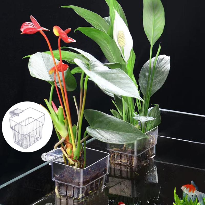 حوض السمك متعدد الوظائف ، كوب  - مراجعة Aquarium For Planted Tank وسعره