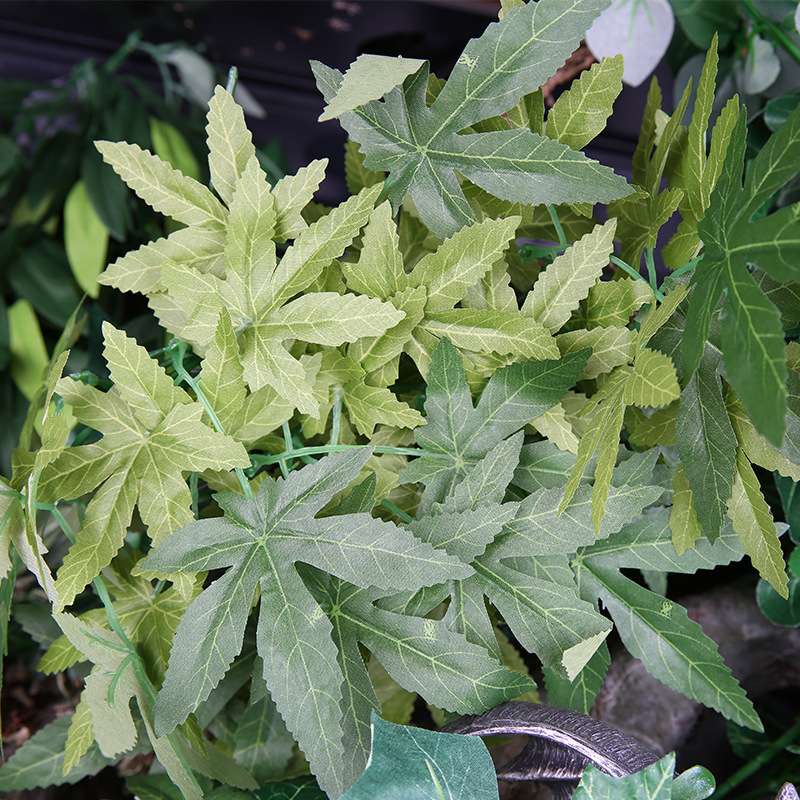 نباتات ريبتيزو الاصطناعية لترر - مراجعة Aquarium Plant Vine وسعره